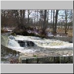 Jemcina 24.11.2008-16.JPG